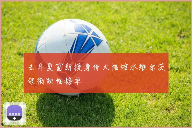 去年夏窗新援身价大幅缩水维尔茨领衔跌幅榜单